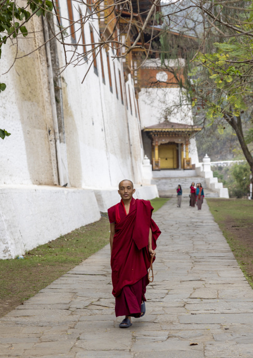 Bhutanese monk in Punakha dzong, Punakha dzongkhag, Punakha, Bhutan