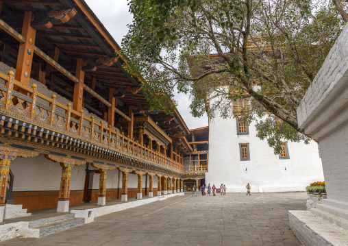 Punakha dzong, Punakha dzongkhag, Punakha, Bhutan