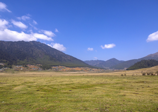 Meadow between the mountains, Wangdue Phodrang, Phobjikha Valley, Bhutan