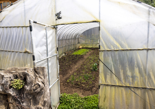 Greenhouses in a farm, Bumthang, Ogyen Choling, Bhutan