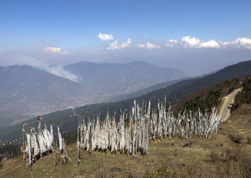 Manidhar prayer flags are raised on behalf of a deceased person, Wangchang Gewog, Paro, Bhutan