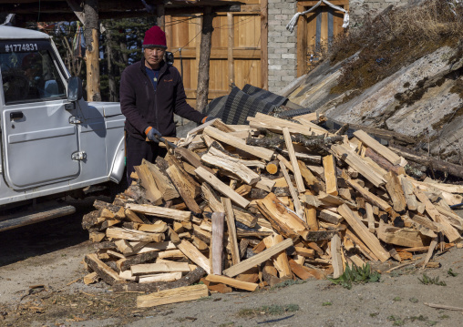 Bhutanese man collecting firewood, Wangchang Gewog, Paro, Bhutan