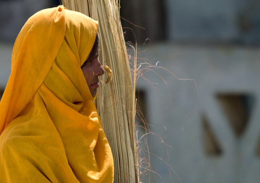 Eritrean woman with nose ring, Anseba, Keren, Eritrea