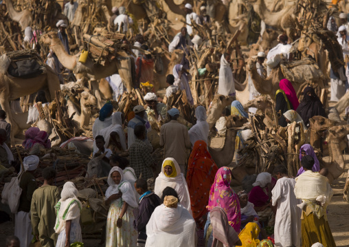 Monday wood and camel market, Anseba, Keren, Eritrea