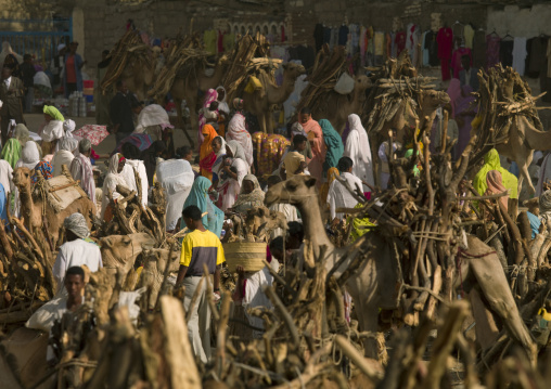 Monday wood and camel market, Anseba, Keren, Eritrea