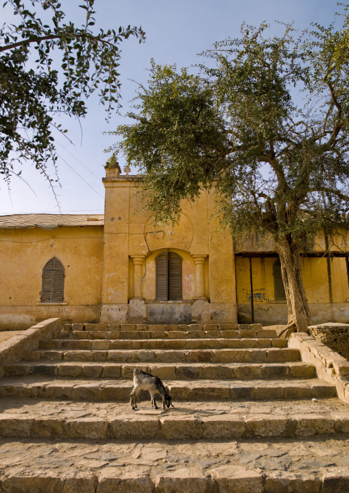 Old colonial train station, Anseba, Keren, Eritrea