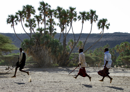 Afar tribe men dancing during a wedding, Northern Red Sea, Thio, Eritrea