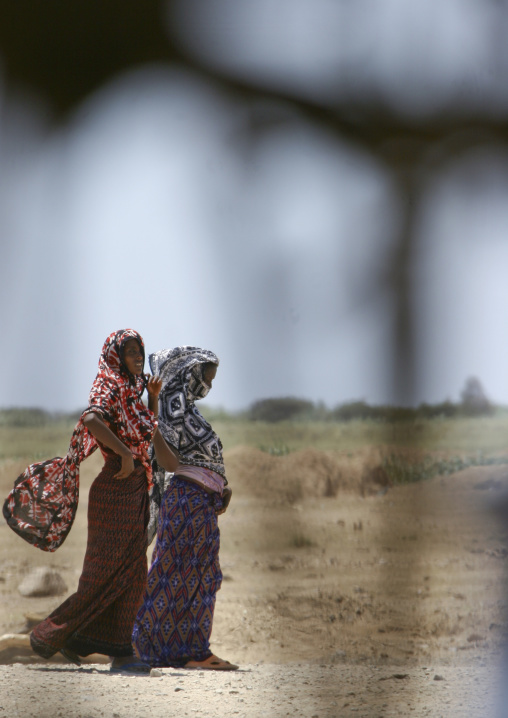 Afar tribe women, Northern Red Sea, Thio, Eritrea