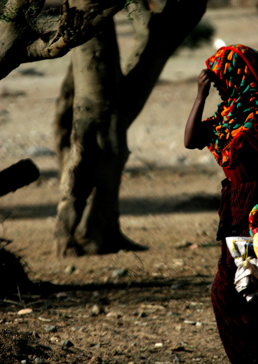 Afar Tribe Girl In Danakil Desert, Eritrea