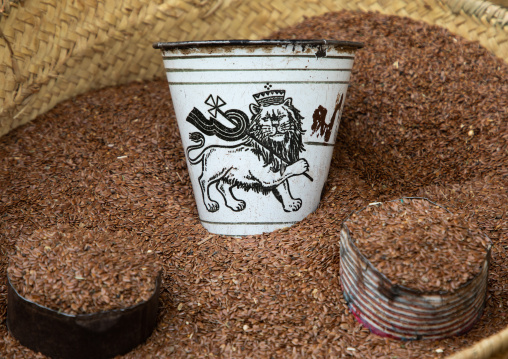 Judas lion on a measuring device for the grains, Semien-Keih-Bahri, Keren, Eritrea