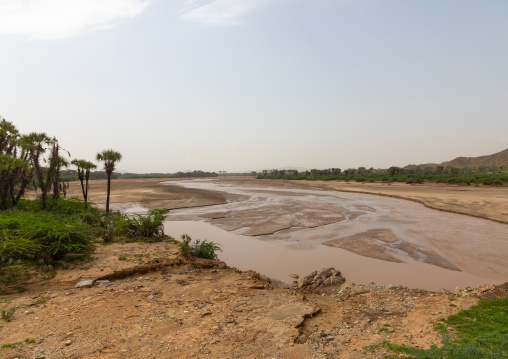 Dry river with palm trees, Gash-Barka, Agordat, Eritrea