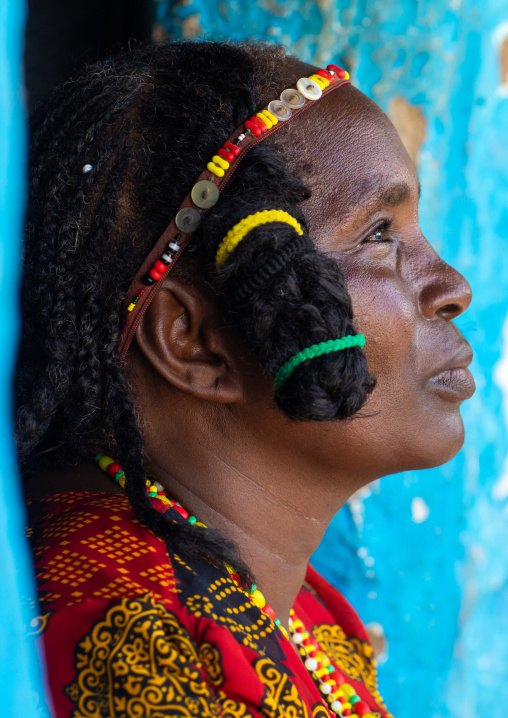 Portrait of a Kunama tribe woman with traditional hairstyle, Gash-Barka, Barentu, Eritrea