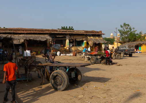 Local market, Gash-Barka, Agordat, Eritrea