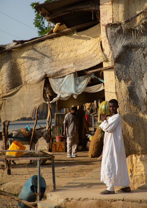 Eritrean boy in a market, Gash-Barka, Agordat, Eritrea