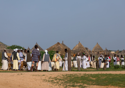 Eritrean men in the livestock market, Gash-Barka, Agordat, Eritrea