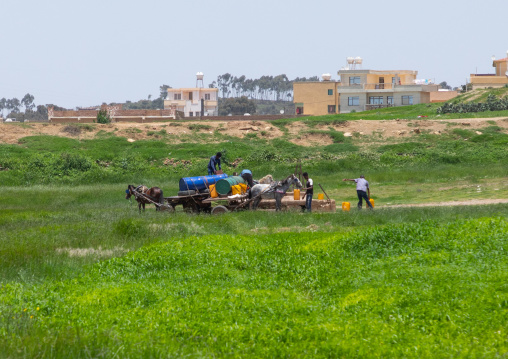 Eritrean men collecting water in a well in the suburb of the city after a water shortage, Central region, Asmara, Eritrea