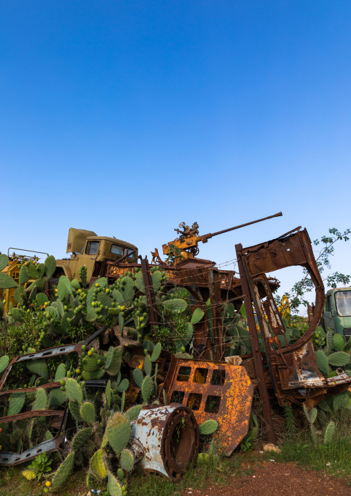 Military tank graveyard, Central region, Asmara, Eritrea