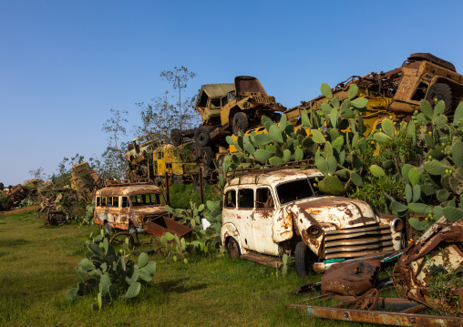 Military tank graveyard, Central region, Asmara, Eritrea