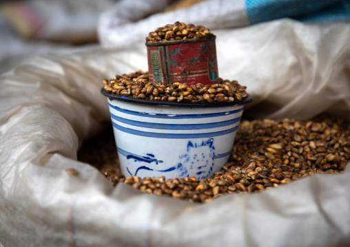 Judas lion on a measuring device for the grains, Central region, Asmara, Eritrea