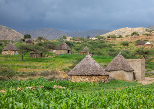 Bilen village with thatched huts, Semien-Keih-Bahri, Elabered, Eritrea