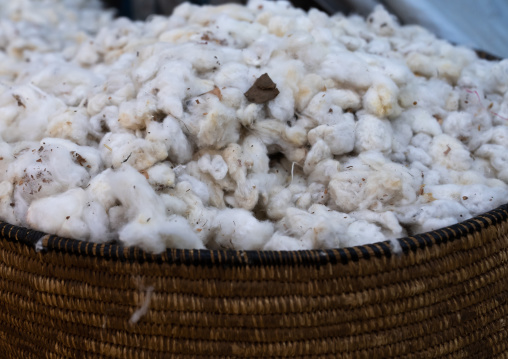 Soft fluffy buds of cotton flowers in a basket, Central Region, Asmara, Eritrea