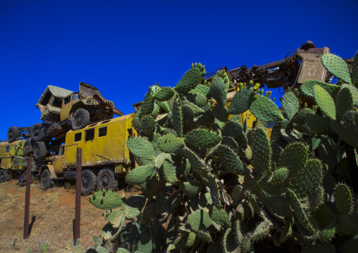 Tank and truck graveyard, Central Region, Asmara, Eritrea