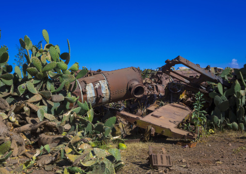 Tank and truck graveyard, Central Region, Asmara, Eritrea