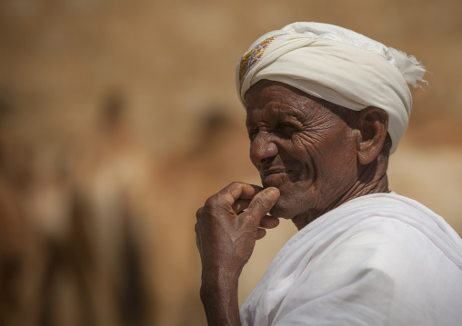 Portrait of a muslim man in monday camel market, Anseba, Keren, Eritrea