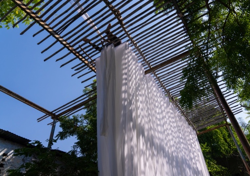 Indian worker drying white sarees, Rajasthan, Jaipur, India