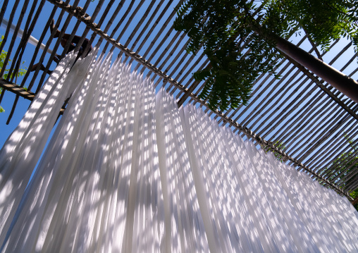 Indian worker drying white sarees, Rajasthan, Jaipur, India