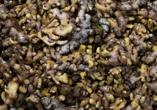 Fresh ginger for sale in a market, Rajasthan, Jaipur, India