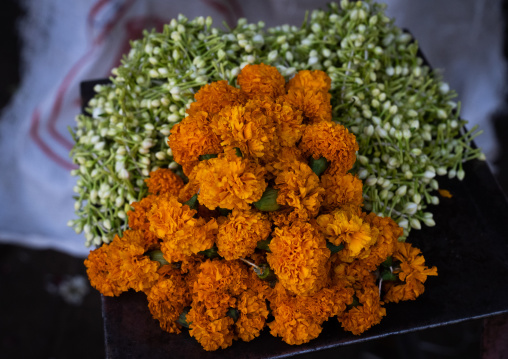 Orange marigold flowers for sale, Rajasthan, Jaipur, India