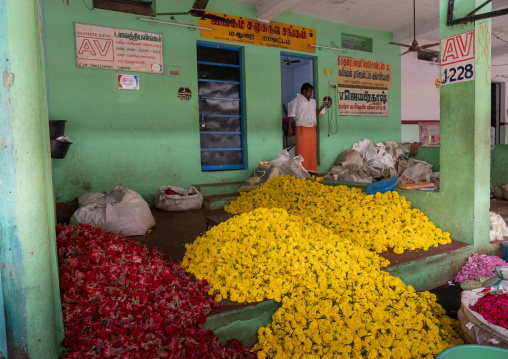 Indian man selling flowers in a market, Tamil Nadu, Madurai, India