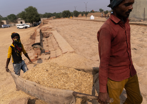 Indian workers in a brick factory, Rajasthan, Mandawa, India