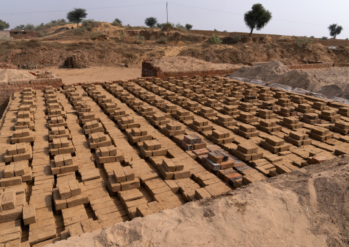 Brick factory in the countryside, Rajasthan, Mandawa, India