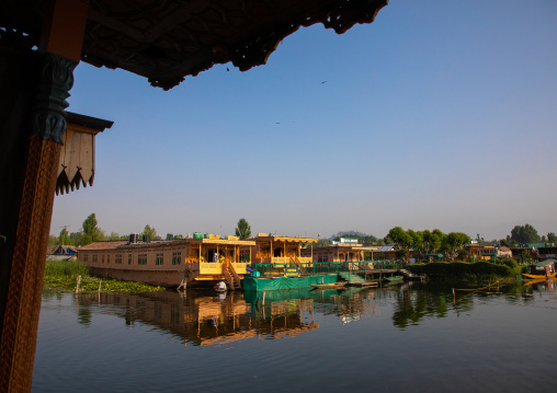 Houseboats on Dal Lake, Jammu and Kashmir, Srinagar, India