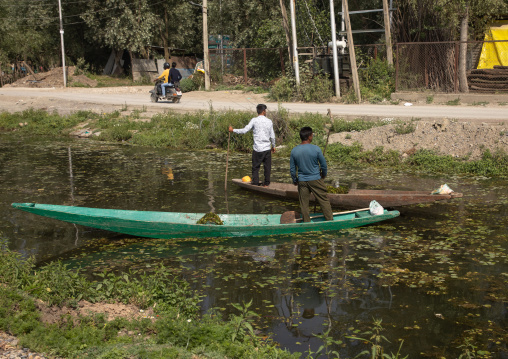 Indian men cleaning a canal, Jammu and Kashmir, Srinagar, India