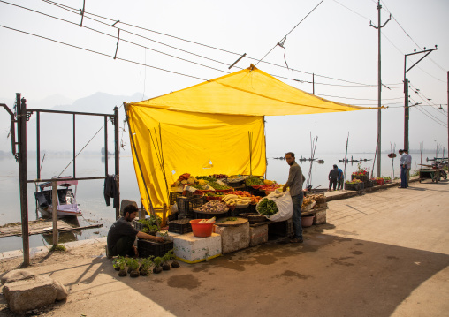 Tradional street food, Jammu and Kashmir, Srinagar, India