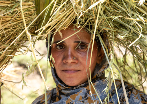 Gujjar Bakerwal woman carrying bundle on her head, Jammu and Kashmir, Kangan, India