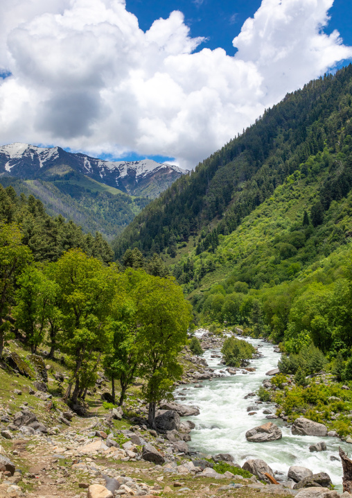 Wangath river in the mountain, Jammu and Kashmir, Kangan, India