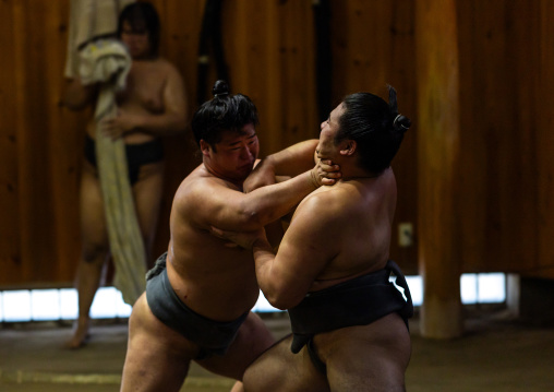 Sumo wrestlers fighting in Tatsunami Beya sumo stable, Kanto region, Tokyo, Japan