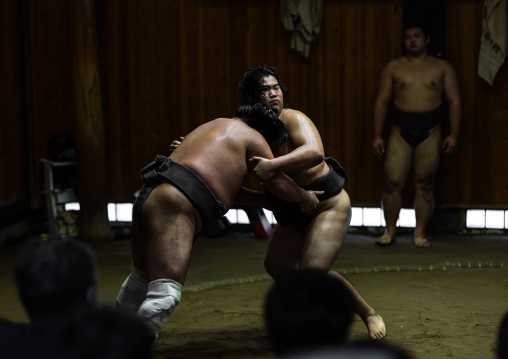 Sumo wrestlers fighting in Tatsunami Beya sumo stable, Kanto region, Tokyo, Japan