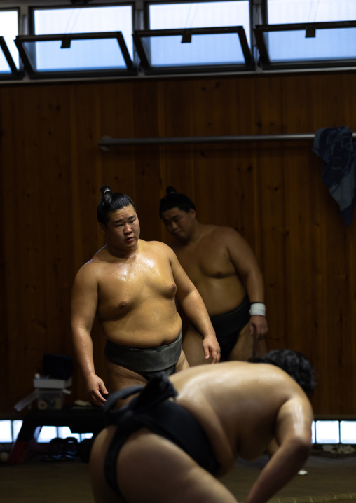 Sumo wrestlers training in Tatsunami Beya sumo stable, Kanto region, Tokyo, Japan