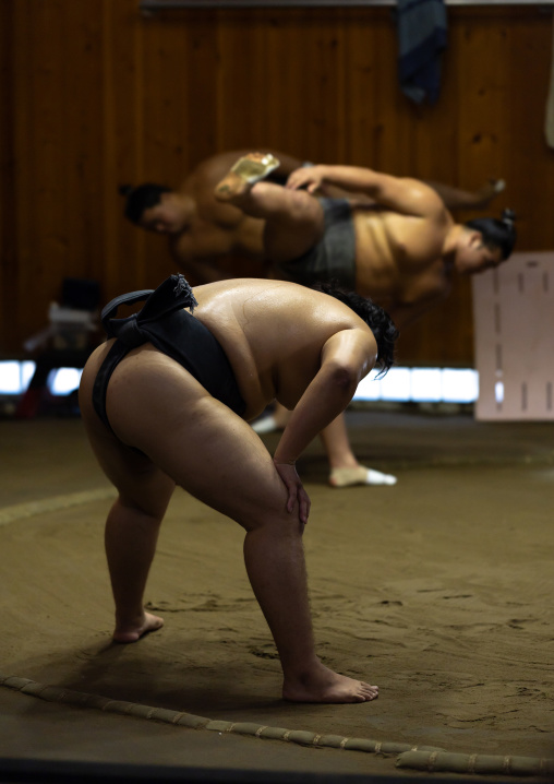 Shiko in Tatsunami Beya sumo stable, Kanto region, Tokyo, Japan