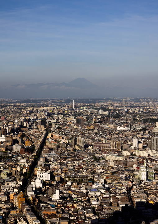 Aerial view of the city and mount Fuji, Kanto region, Tokyo, Japan