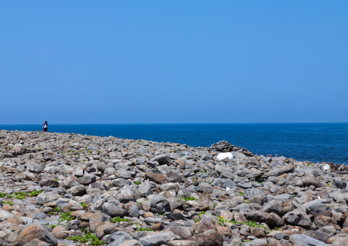 Trashes on a rocky beach, Ainoshima Island, Shingu, Japan