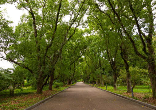 Kyoto botanical garden, Kansai region, Kyoto, Japan