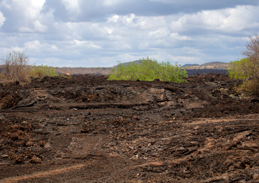 Shetani lava flow landscape, Coast Province, Tsavo West National Park, Kenya