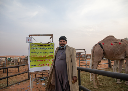 King Abdul Aziz Camel Festival, Riyadh Province, Rimah, Saudi Arabia