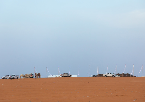 King Abdul Aziz Camel Festival, Riyadh Province, Rimah, Saudi Arabia